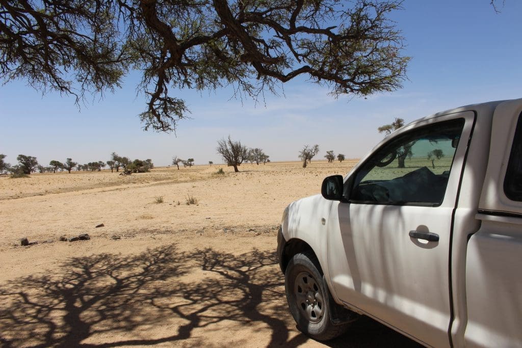 Namib | Namibia | The Orange Backpack