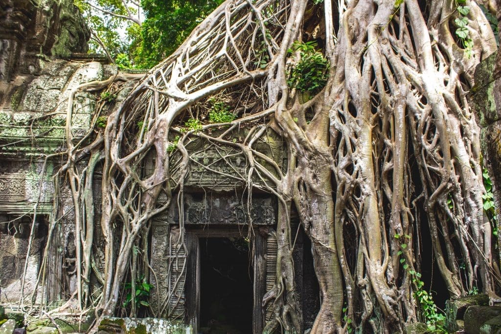 Cambodja | Angkor Wat | The Orange Backpack