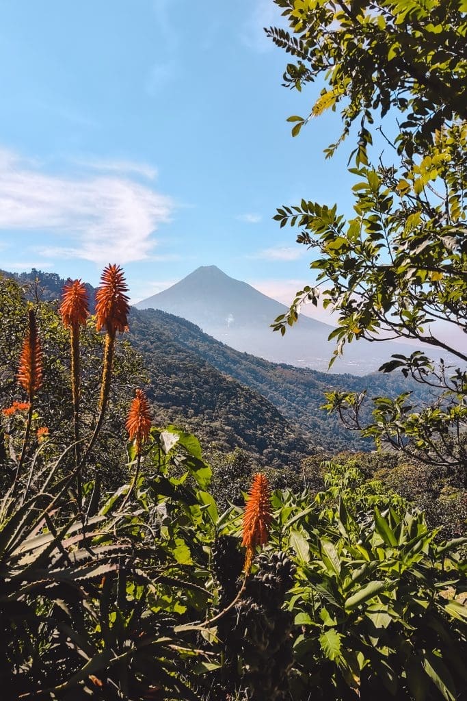 Earth Lodge | Antigua | Guatemala