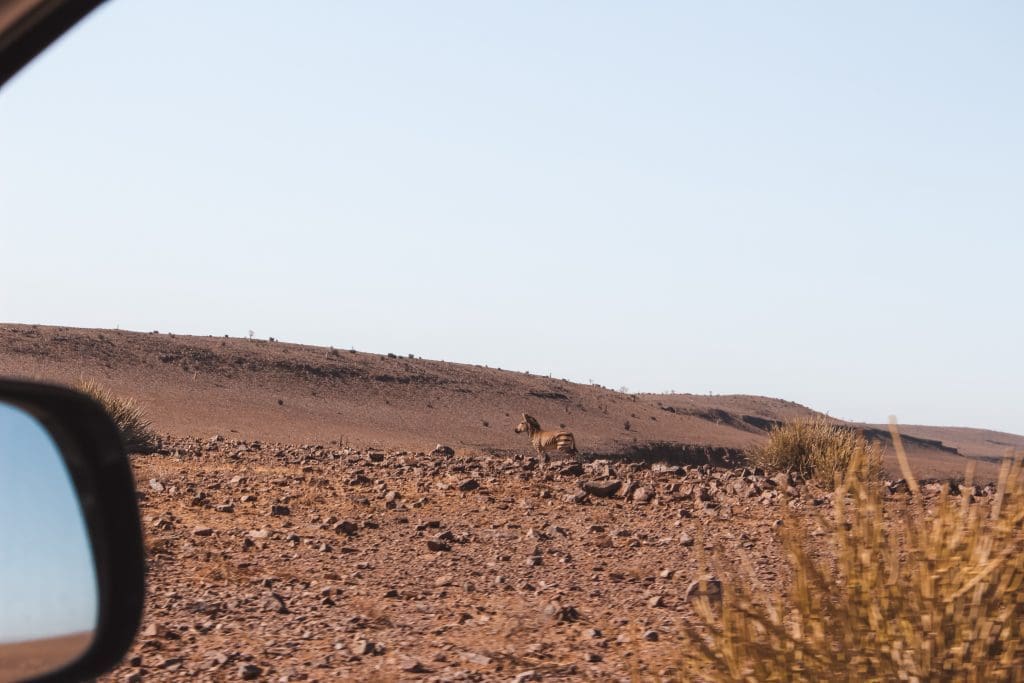 Rijden in Namibië | Driving in Namibia | The Orange Backpack