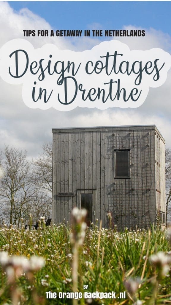Design tiny house Voscheheugte Drenthe
