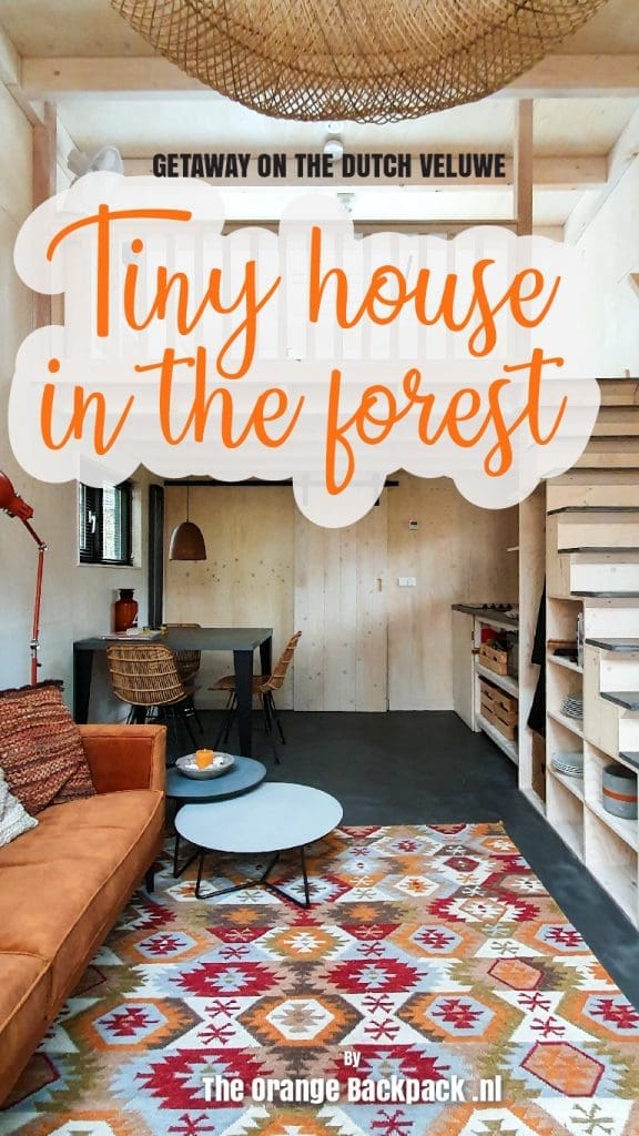 Tiny house in forest Veluwe