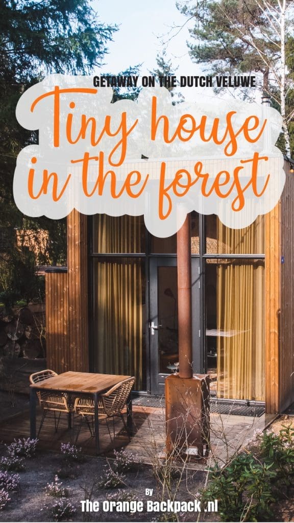 Tiny house in forest Veluwe