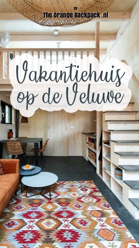 Tiny house in forest Veluwe