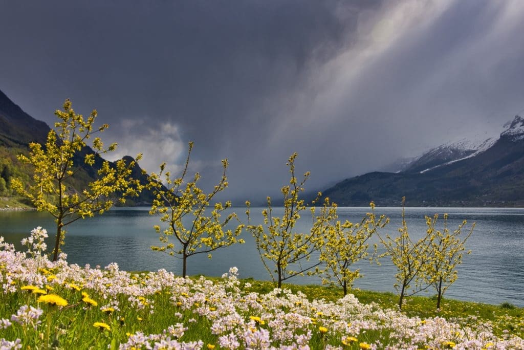 Europe Road Trip Norway Hardangerfjord_Norway_Realcamplife