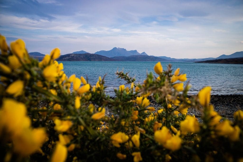 Europe Road Trip Scotland Mountains near Tongue - Photo by Kathi Kamleitner, Watch Me See