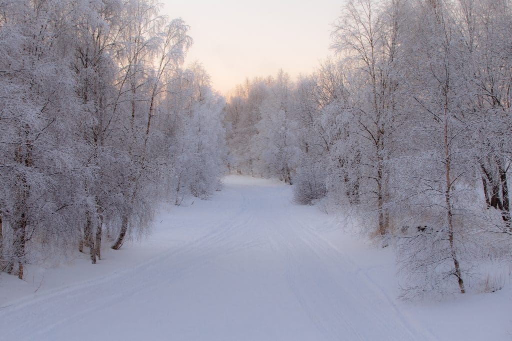 Snowy Lapland Finland Europe