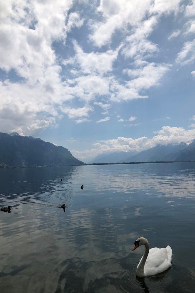 Roadtrip Europe Lake Geneva Switzerland (1)
