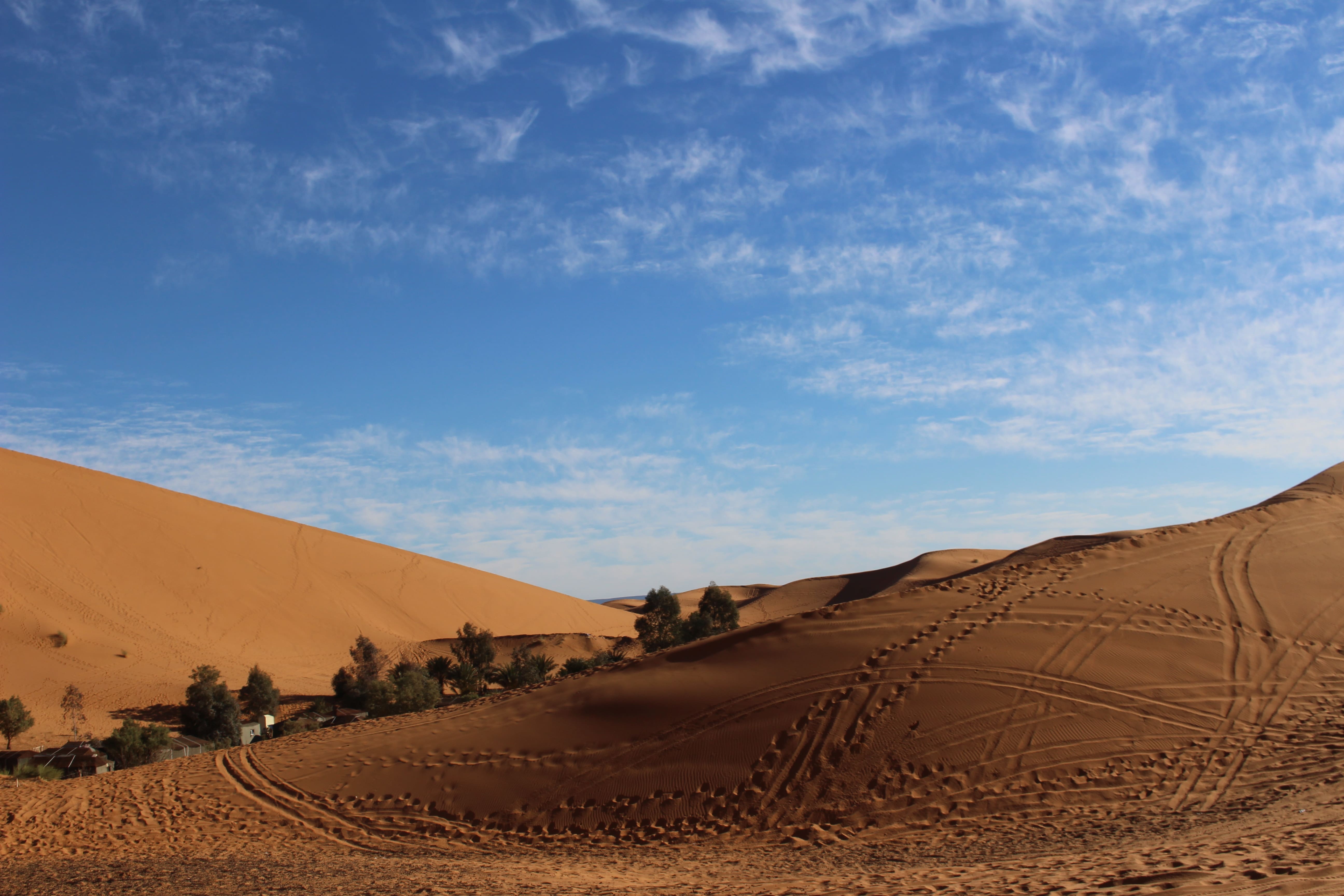 Dagtrips vanuit Marrakech | Marokko | The Orange Backpack