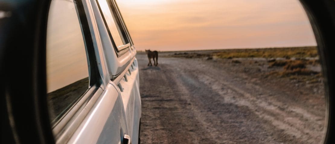 Camping Self Drive Safari Etosha Namibia