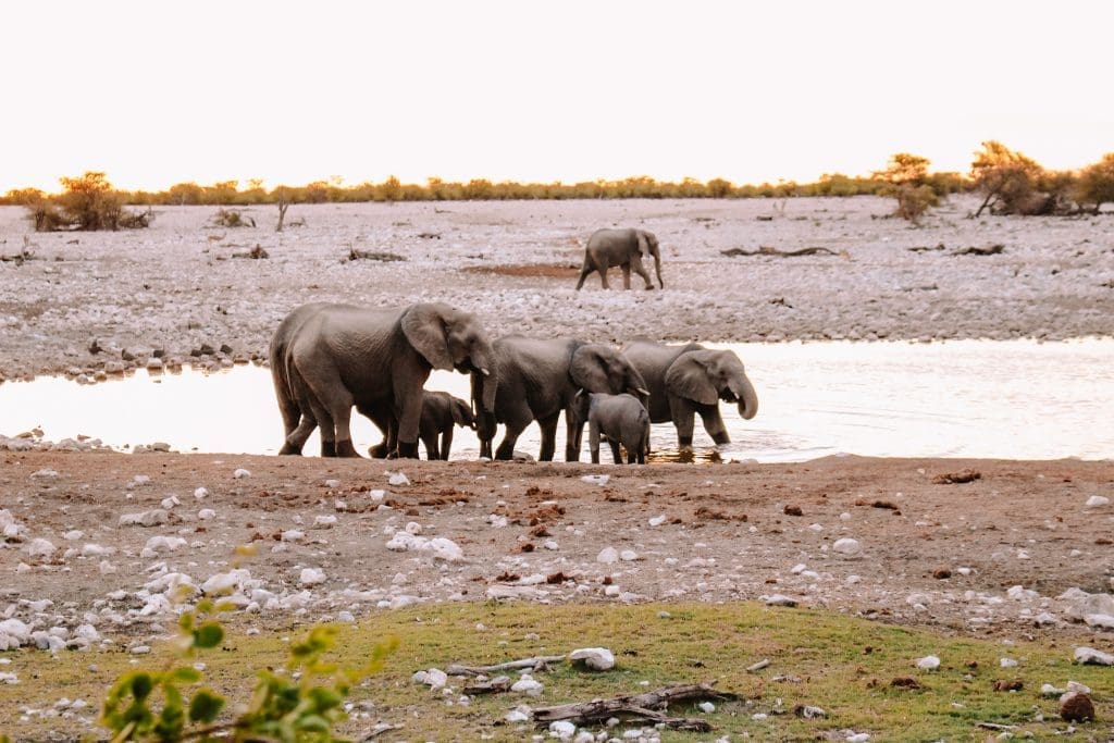 Kamperen in Etosha | Camping in Etosha | The Orange Backpack