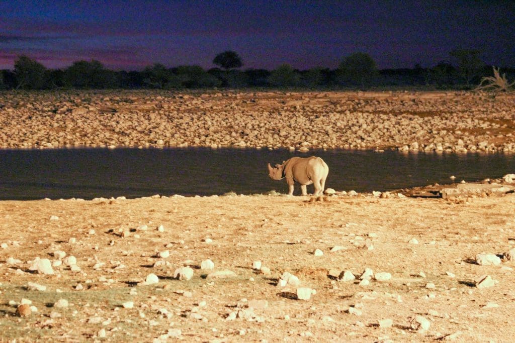Kamperen in de waterput van Etosha National Park | Kamperen in Etosha | De oranje rugzak