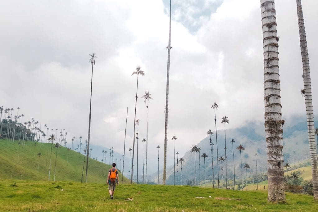 Valle de Cocora | Colombia | The Orange Backpack