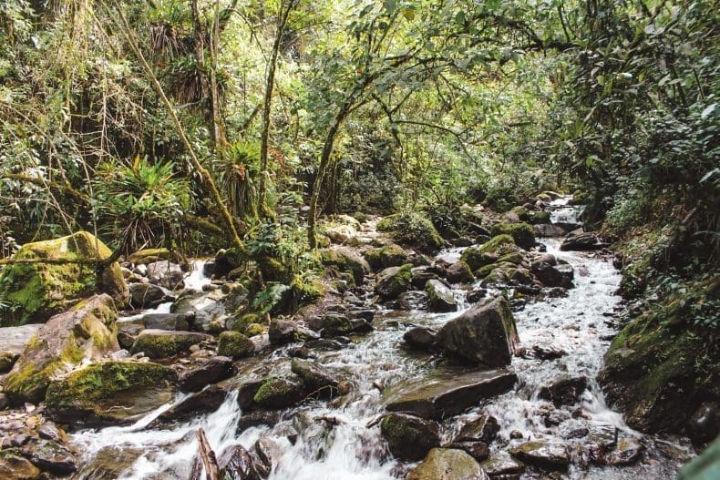 Valle de Cocora | Colombia | The Orange Backpack