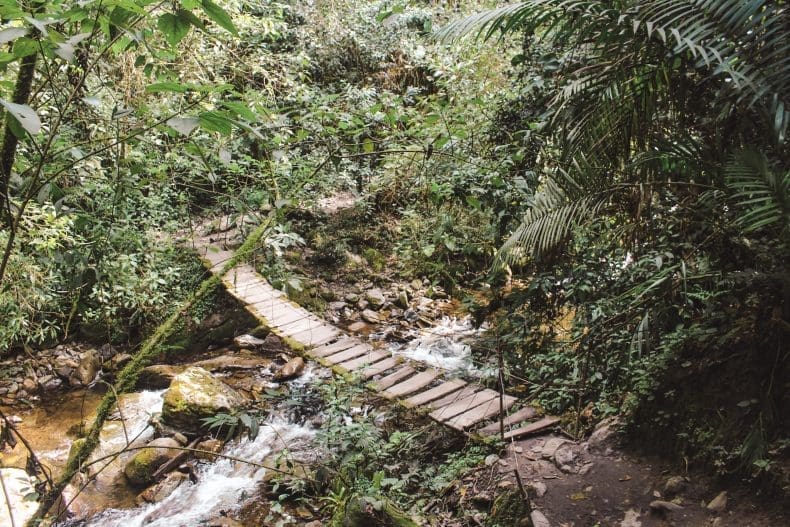 Valle de Cocora | Colombia | The Orange Backpack