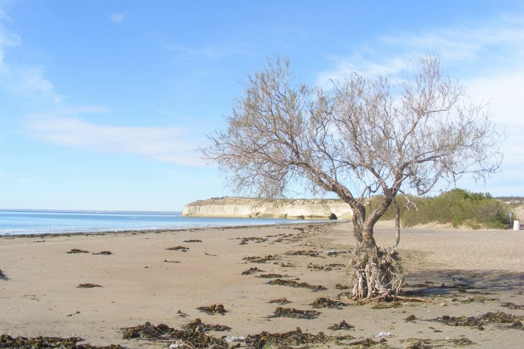 Peninsula Valdes