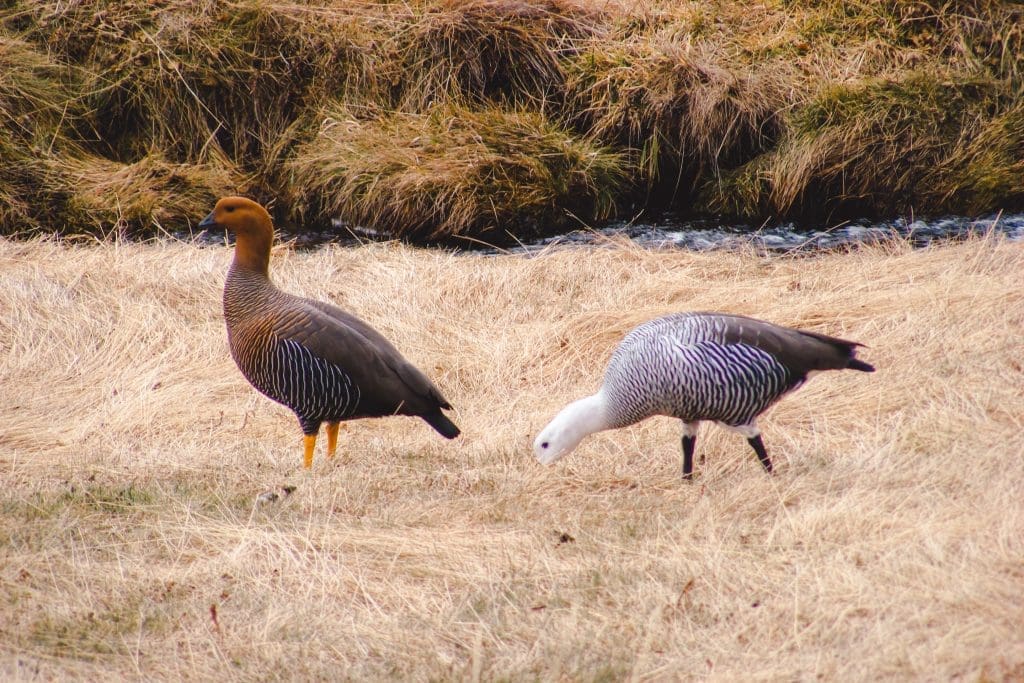 Ushuaia | Tierra del Fuego