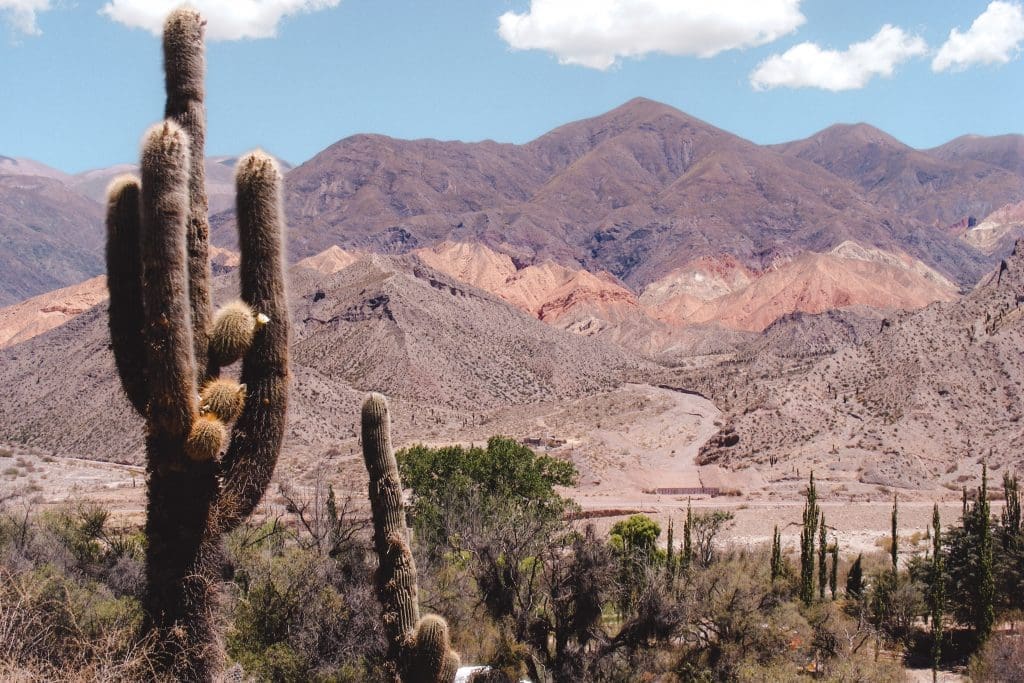 Salta | Argentina | Chile | The Orange Backpack