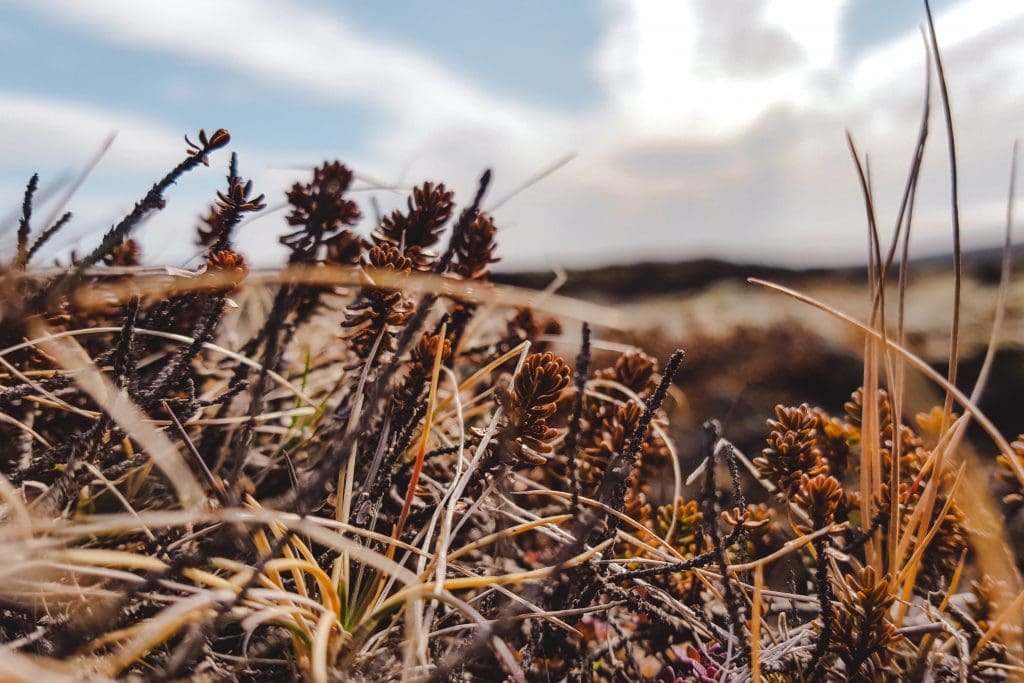 Road trip Snaefellsnes Iceland | Rondreis IJsland