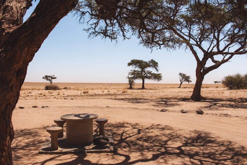 Namib | Namibia | The Orange Backpack
