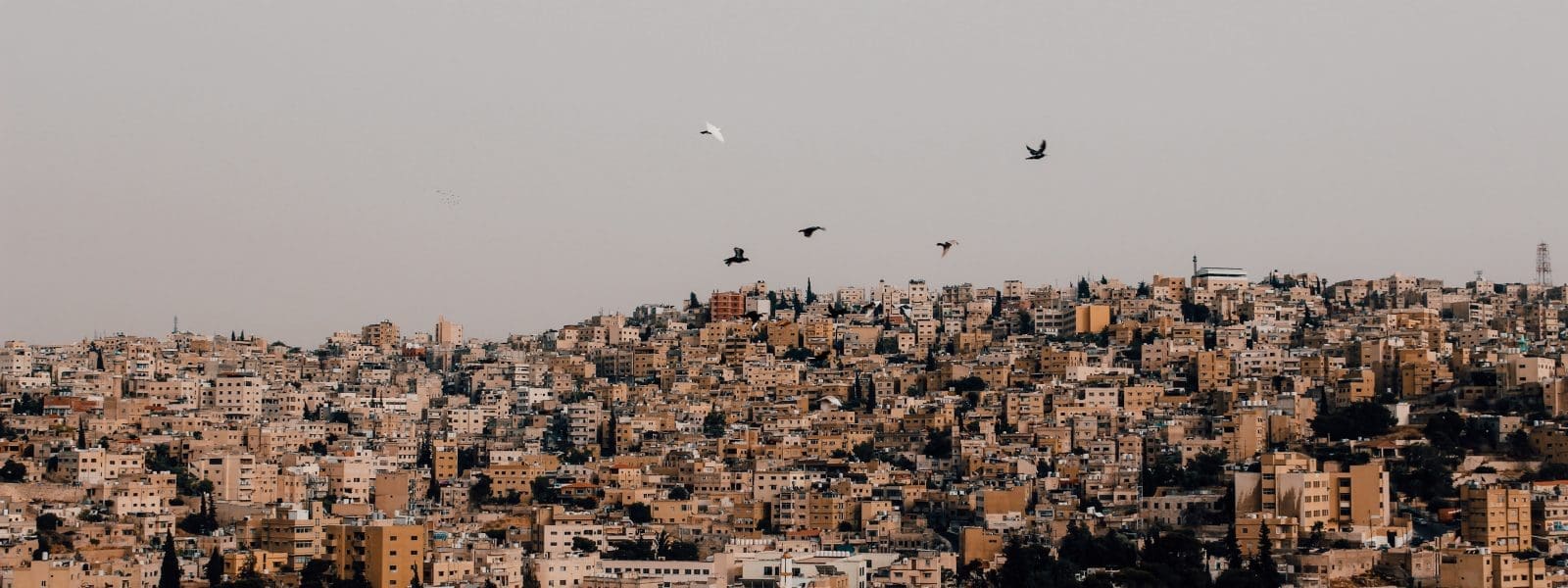 The best things to do in Amman, Jordan