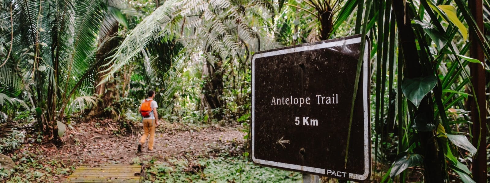 Visit the Cockscomb Jaguar Reserve Belize