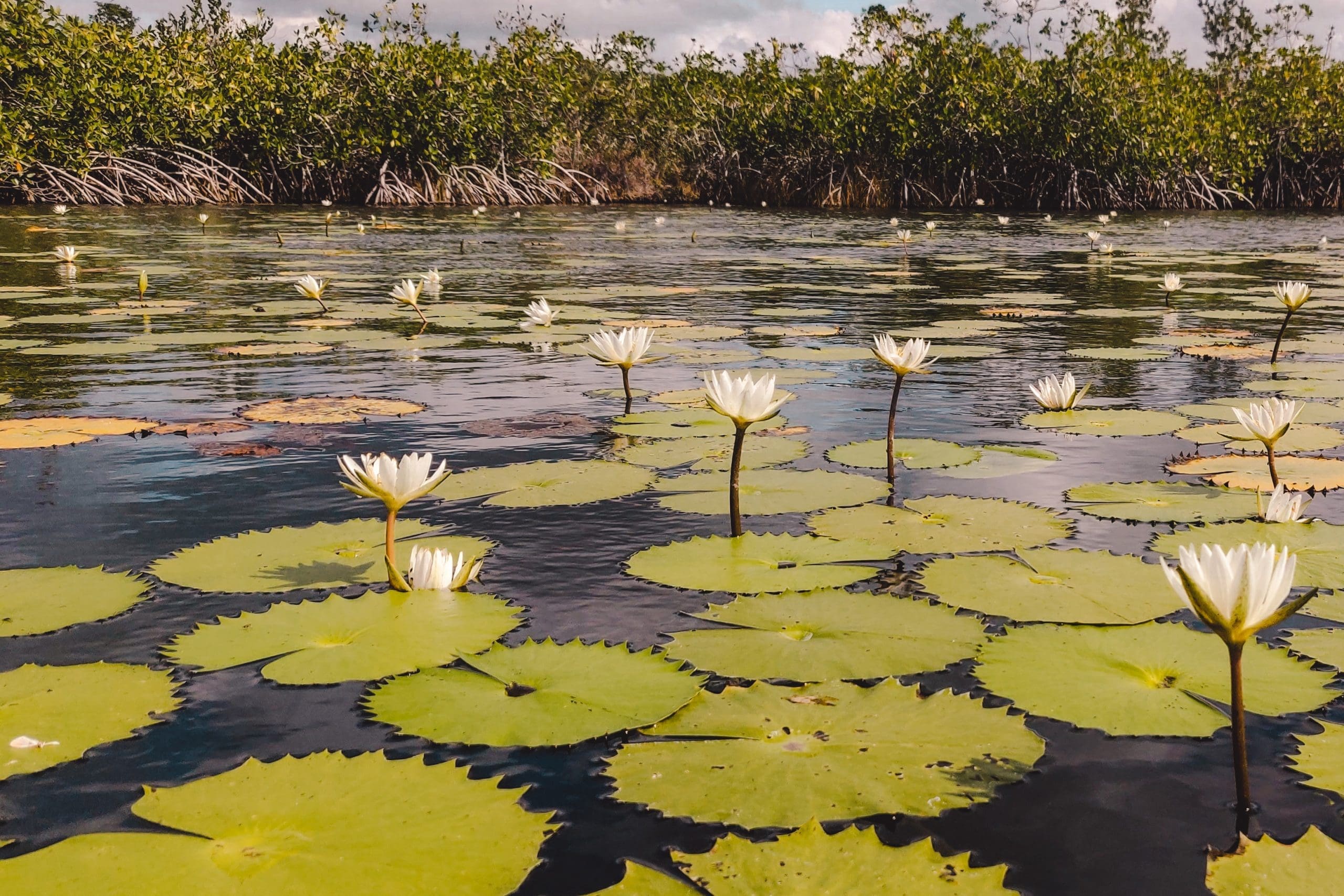 Lake Bacalar | Yucutan Mexico | The Orange Backpack