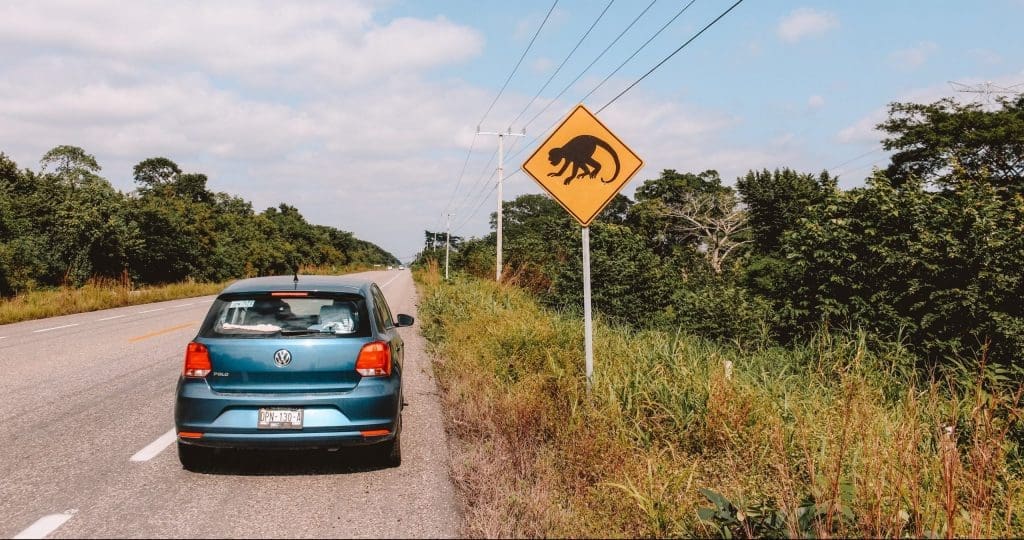 Driving in Yucutan Mexico | The Orange Backpack