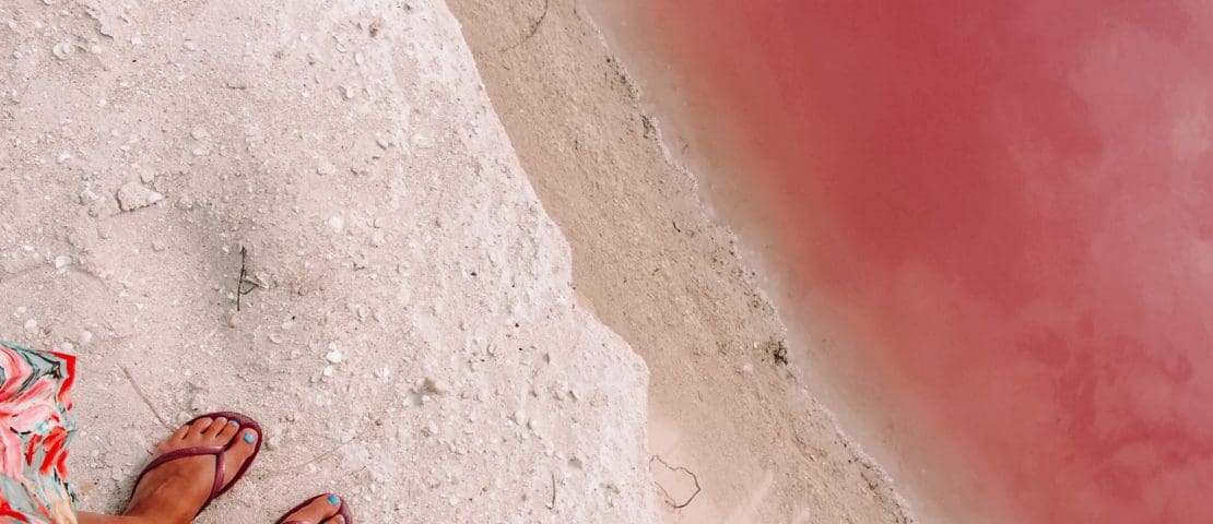 Pink lakes in Mexico: visit Las Coloradas in Yucatán