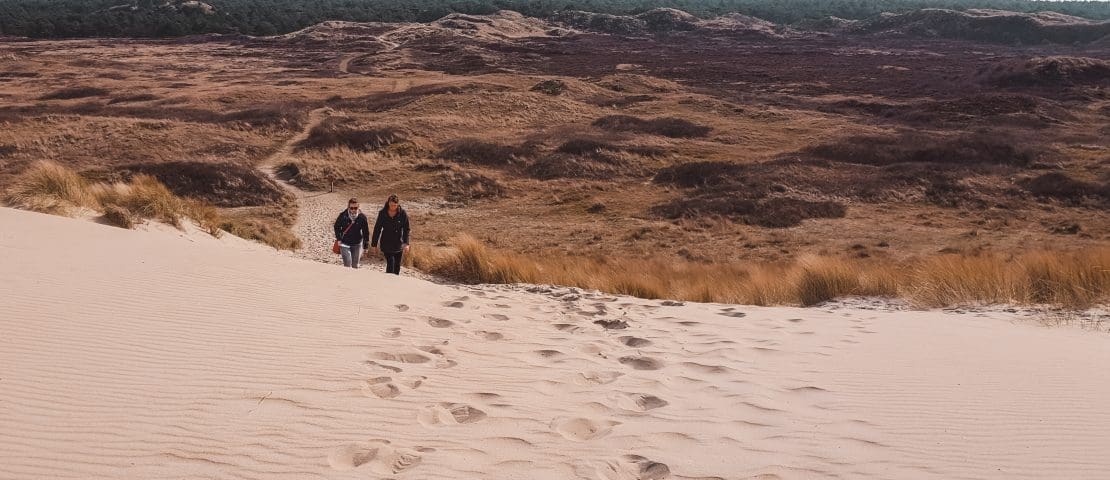 10 things to do in Texel island in the Netherlands