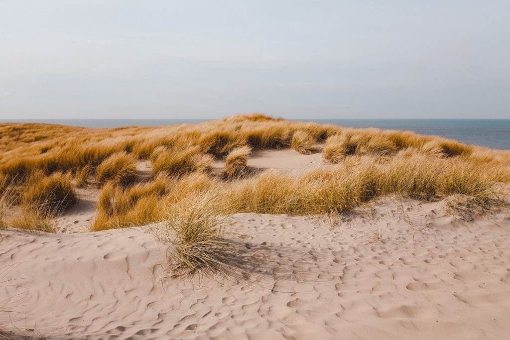 Texel | Waddeneilanden | Wadden Islands | Nederland, Netherlands | The Orange Backpack