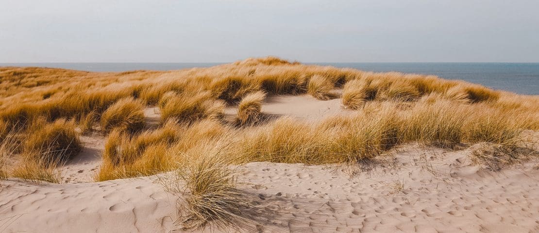 30x glamping op Texel en de Waddeneilanden