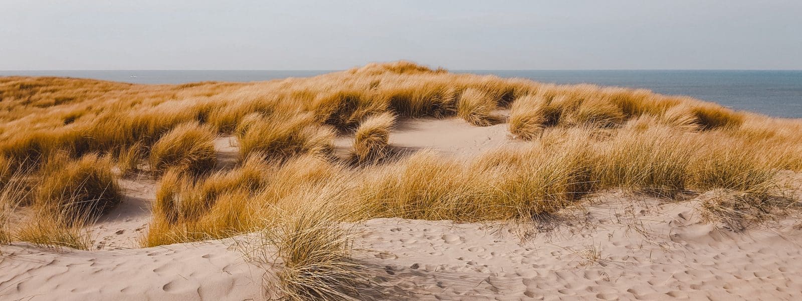 30x glamping op Texel en de Waddeneilanden