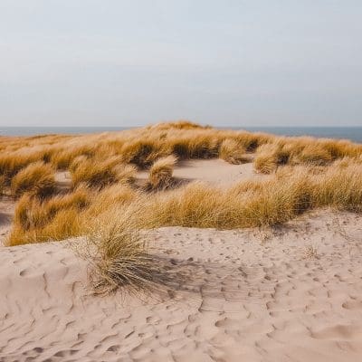 Texel | Waddeneilanden | Wadden Islands | Nederland, Netherlands | The Orange Backpack