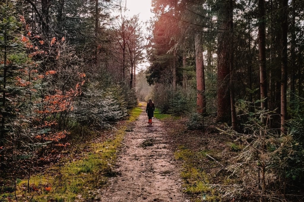 Reizen in tijden van Corona | Veluwe | The Orange Backpack