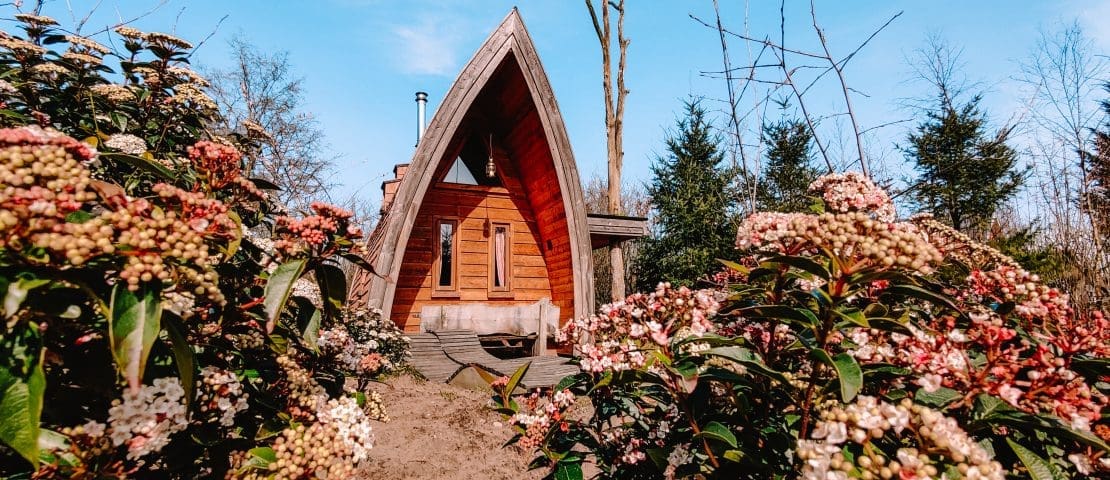 Cabins, forest and birds on De Wije Werelt