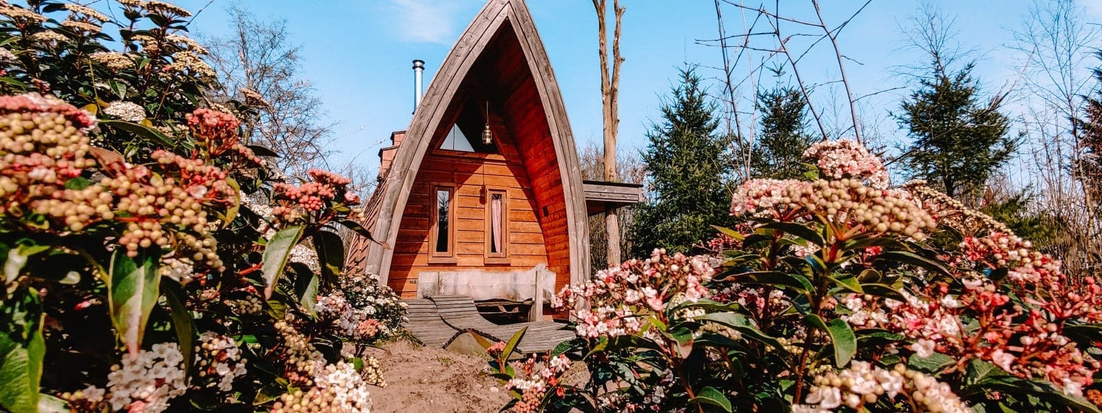 Cabins, forest and birds on De Wije Werelt