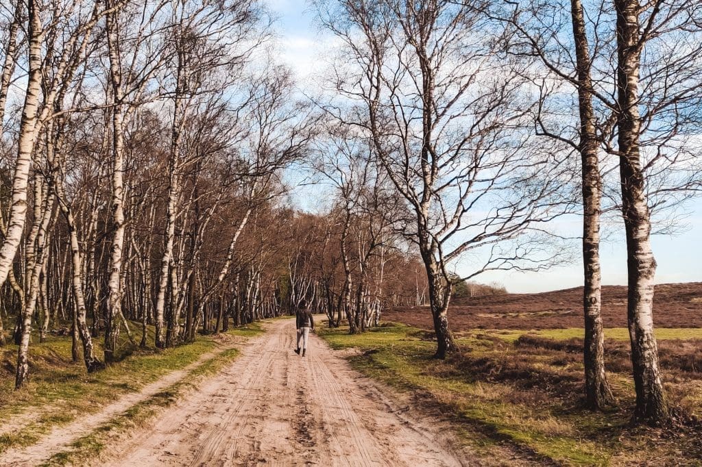 Zwerfhut De Wije Werelt | trekkershut Veluwe | Staycation | The Orange Backpack