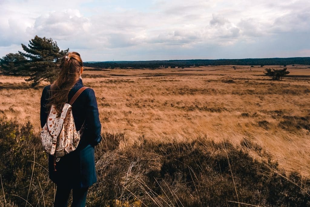 hoogtepunten Veluwe Nederland