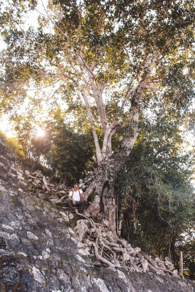 Calakmul in Yucatan, Mexico | Maya tempels | The Orange Backpack