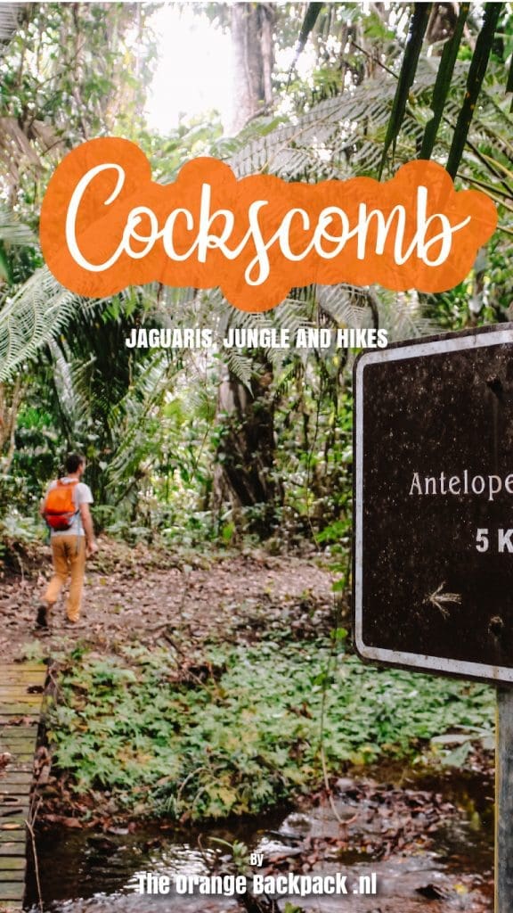 Cockscomb Basin Wildlife Sanctuary in Belize