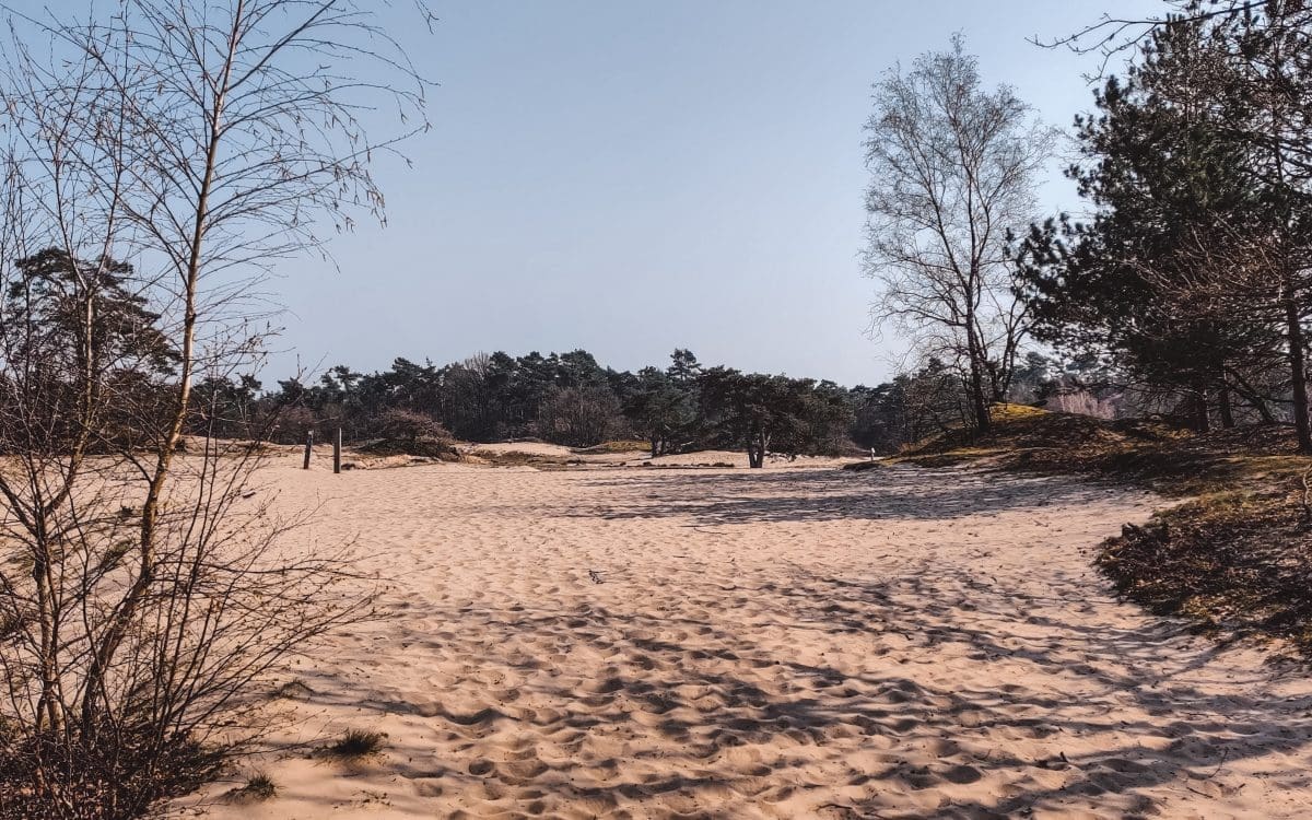 Natuurgebied Loonse en Drunense Duinen in Brabant, Nederland | The Orange Backpack