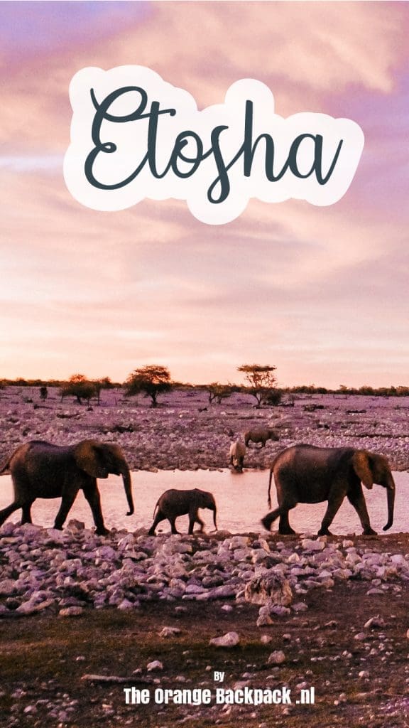 camping in Etosha National Park | safari Namibie