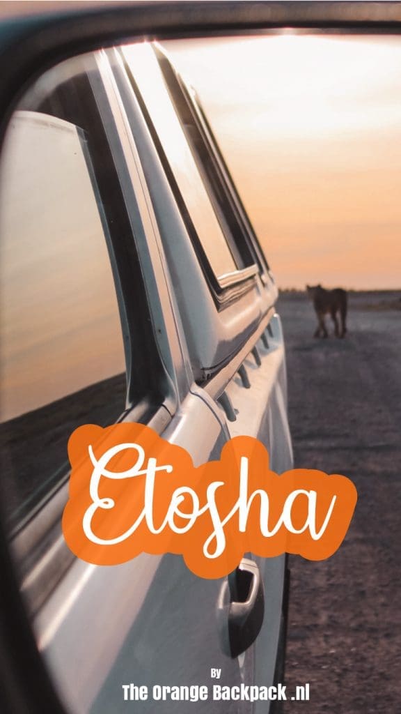 camping in Etosha National Park | safari Namibie