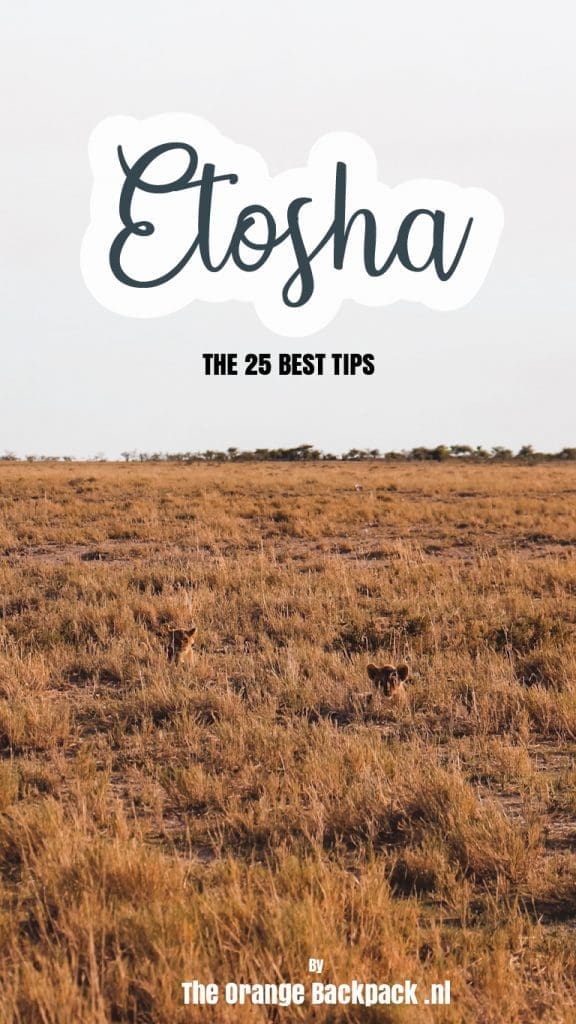 Etosha National Park Namibia