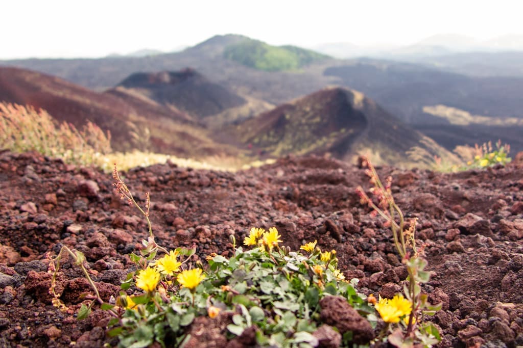 Craters of Etna Sicily | Best volcanoes to hike around the world