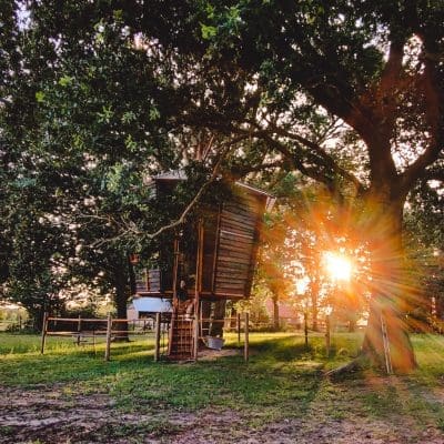 Boomhut in de Achterhoek Goldsworthy