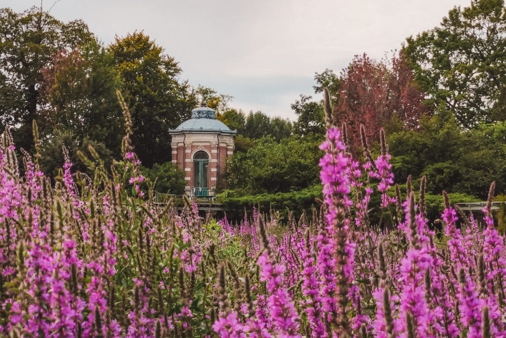 Beervelde Tortiga Park