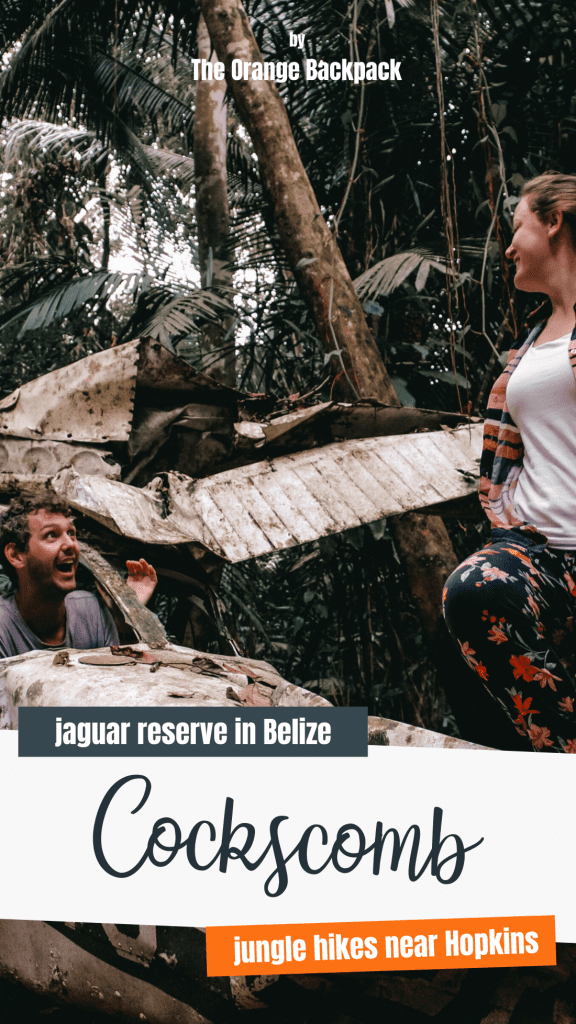 Cockscomb Basin Wildlife Sanctuary in Belize