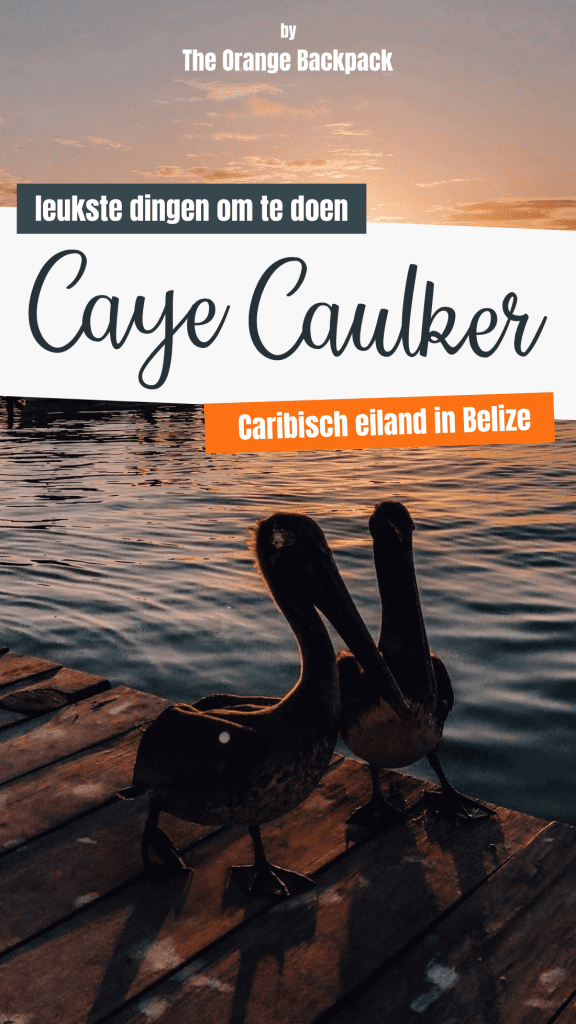 leukste dingen om te doen op het Caribische eiland Caye Caulker in Belize